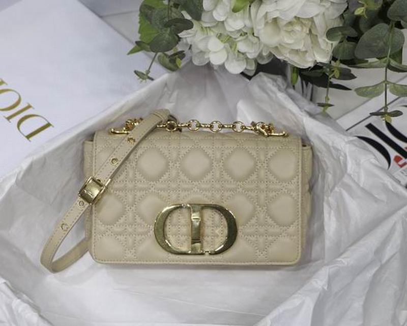 DIOR Handbags 54